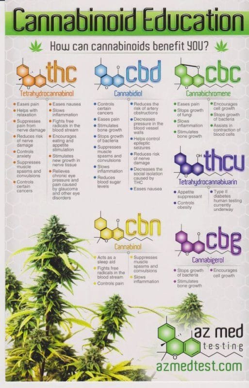 cannabinoid benefit education infographic 1