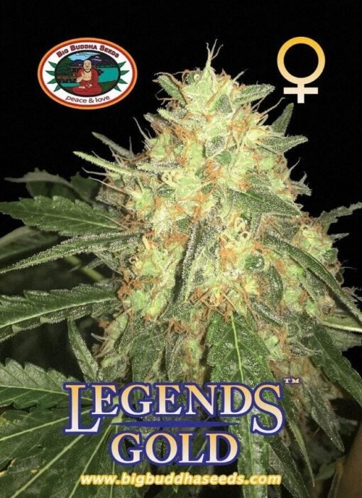 Legends Gold [Feminized] - 5 Seeds (Multiple)