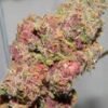 Mosca Seeds Pink Gorilla