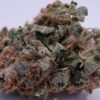 707 headband bc web