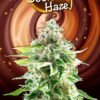 cookies haze poster scaled