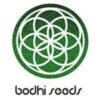 Bodhi Seeds - Chem Kesey [Regular] - 11 Seeds