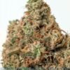 positronicsseeds supercheese