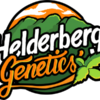 Helderberg logo 500x300