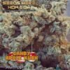 exotic genetix candy apple kush c4f5bcfa 3f64 4c1b 9074 2b0d5b154bfb 450x582