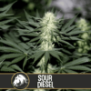 sour diesel