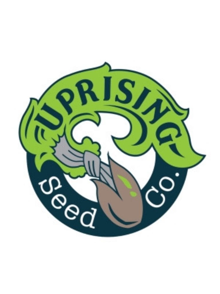 Untitled design 21 1