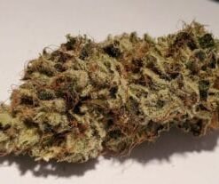 image000001 15 1 300x207 1