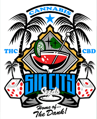 sincity 1 1 1 1 1 1 1 1 1 1 1 1 1 1 1