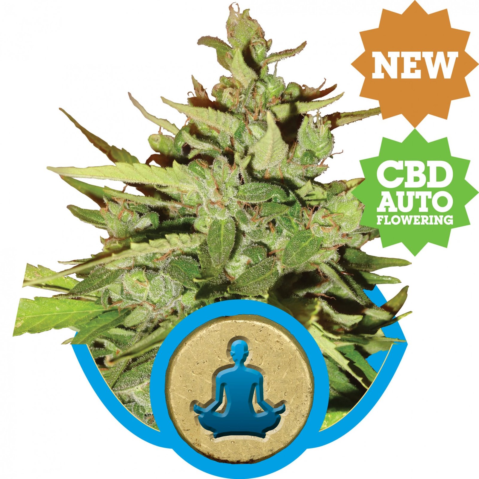 cbd stresskiller new20161