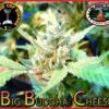 Big Buddha Chees 4debaf92576a7