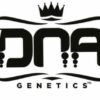 DNA Genetics Semillas Feminizadas Cannabis