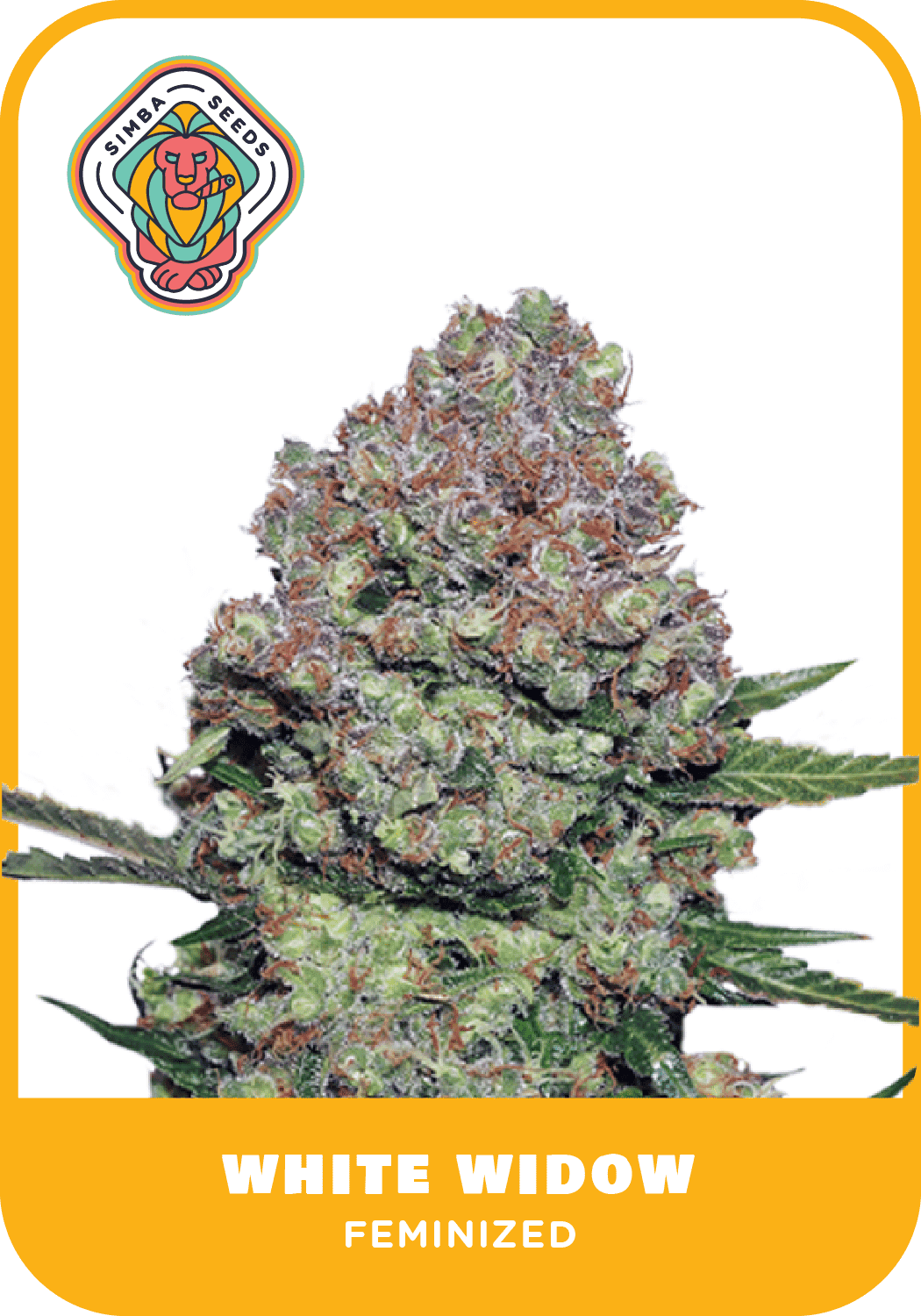 SS WhiteWidowFem