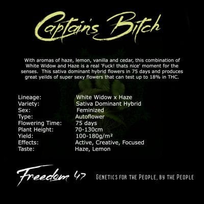 captians bitch