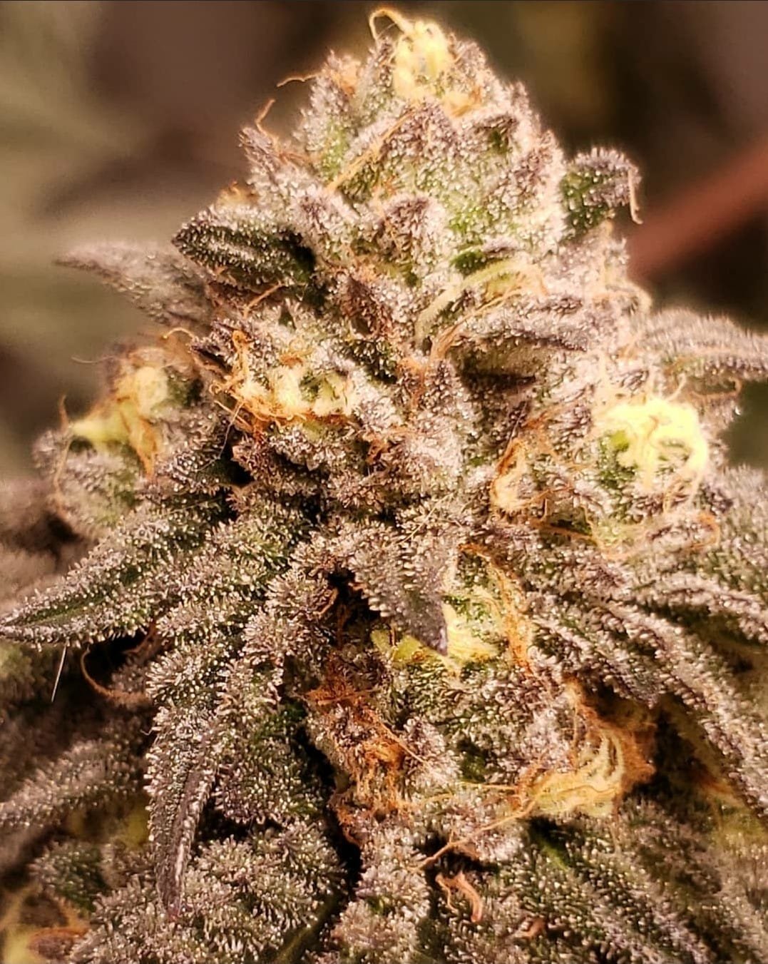 Screenshot 20201024 000641 Instagram