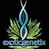 exotic genetics 247x296 1