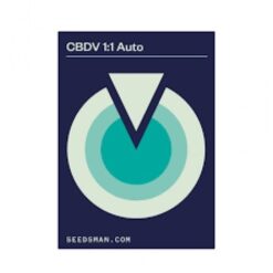 Seedsman - CBDV 1:1 [Fem Autoflower]