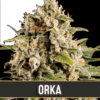 orka
