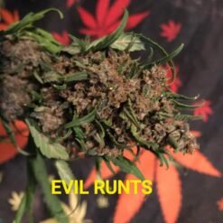 93418f6d 949c 4c37 b719 a0c9b0c55a58