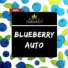 autoblueberry