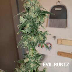 f8fff98a fd13 4331 bb52 3a0bfd824166