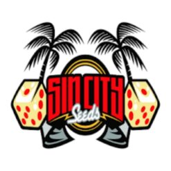 Sin City Seeds