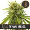 SKYWALKEROGCANNABISPLANT