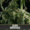 silver surfer haze
