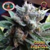 sour chiesel pack pr51ba3da8a60e8
