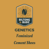 Biltong and Budz Genetics Cement Shoes Feminized