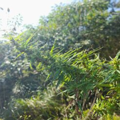 IMG 20220509 214757 135 scaled