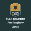 Biltong and Budz Bulk Genetics - Critical [Fem Autoflower]