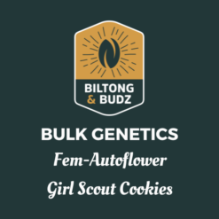 Biltong and Budz Bulk Genetics - Girl Scout Cookies [Fem Autoflower]