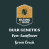 Biltong and Budz Bulk Genetics Green Crack Fem Autoflower