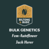 Biltong and Budz Bulk Genetics - Jack Herer [Fem Autoflower]