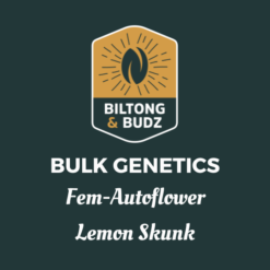 Biltong and Budz Bulk Genetics - Lemon Skunk [Fem Autoflower]
