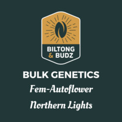 Biltong and Budz Bulk Genetics - Northern Lights [Fem Autoflower]