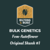 Biltong and Budz Bulk Genetics Original Skunk 1 Fem Autoflower