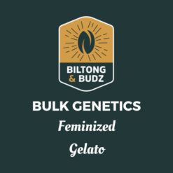 Biltong and Budz Bulk Genetics - Gelato [Feminized]