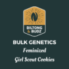Biltong and Budz Bulk Genetics Girl Scout Cookies Feminized