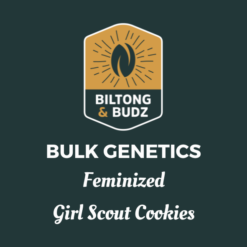 Biltong and Budz Bulk Genetics - Girl Scout Cookies [Feminized]