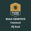 Biltong and Budz Bulk Genetics OG Kush Feminized