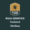 Biltong and Budz Bulk Genetics Stardawg Feminized
