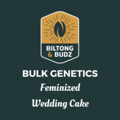 Biltong and Budz Bulk Genetics - Wedding Cake [Feminized]