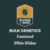 Biltong and Budz Bulk Genetics White Widow Feminized