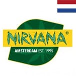 Nirvana Seeds