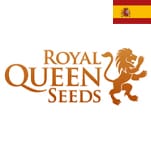 Royal Queen Seeds