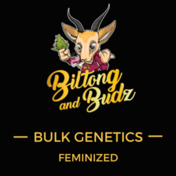Biltong and Budz Bulk Genetics - Do-Si-Dos [Feminized]