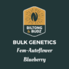 Biltong and Budz Bulk Genetics - Blueberry [Fem Autoflower]