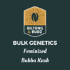 Biltong and Budz Bulk Genetics - Bubba Kush [Feminized]